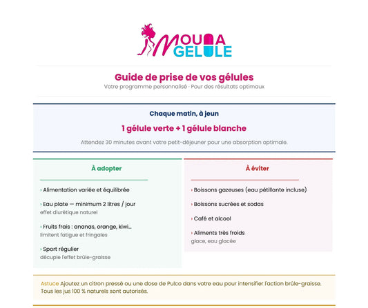 Guide d'utilisation